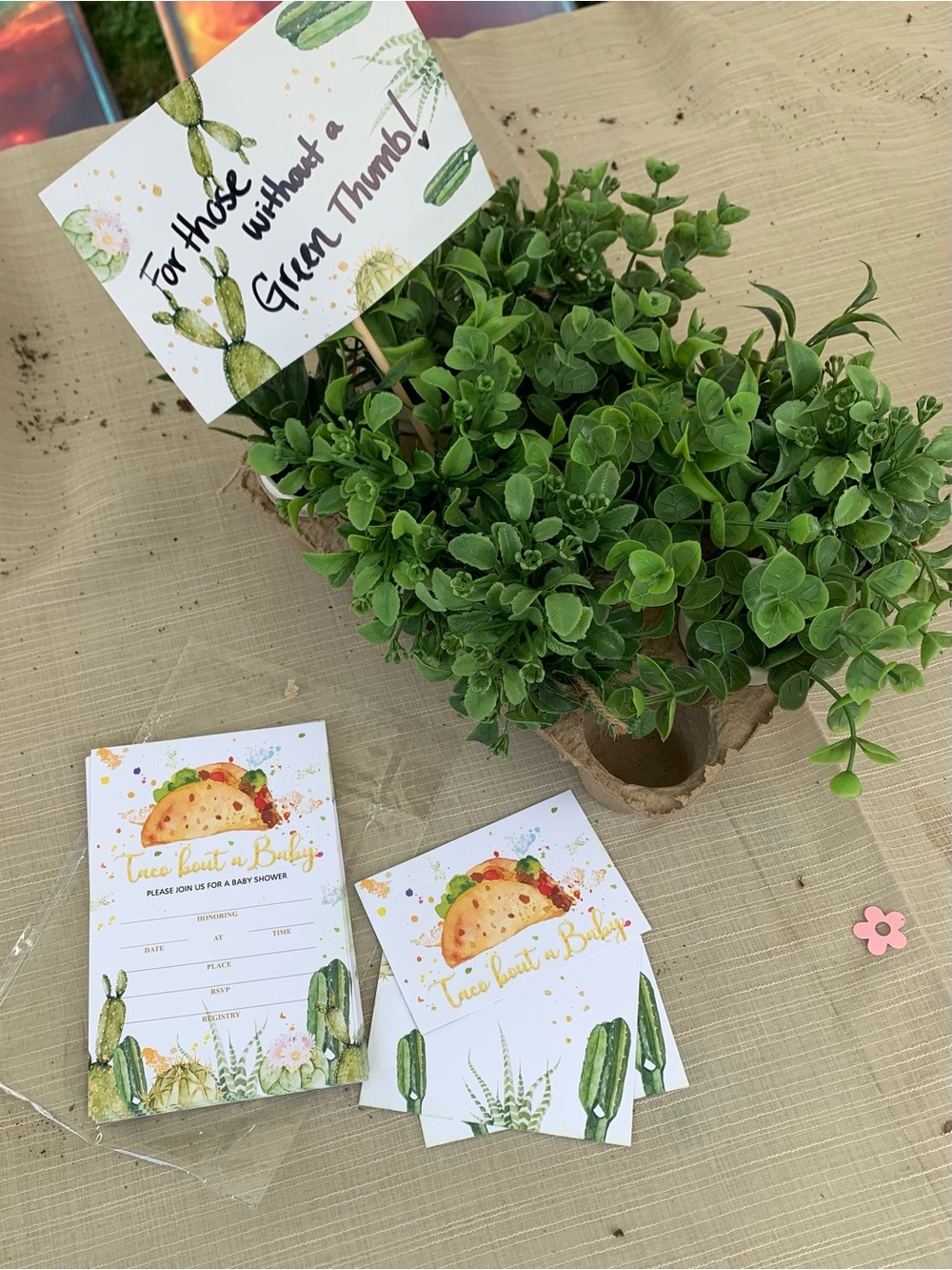 Lot of Baby Shower Decorations! Taco Bout a Baby and Succulent Themed - Picture 6 of 12